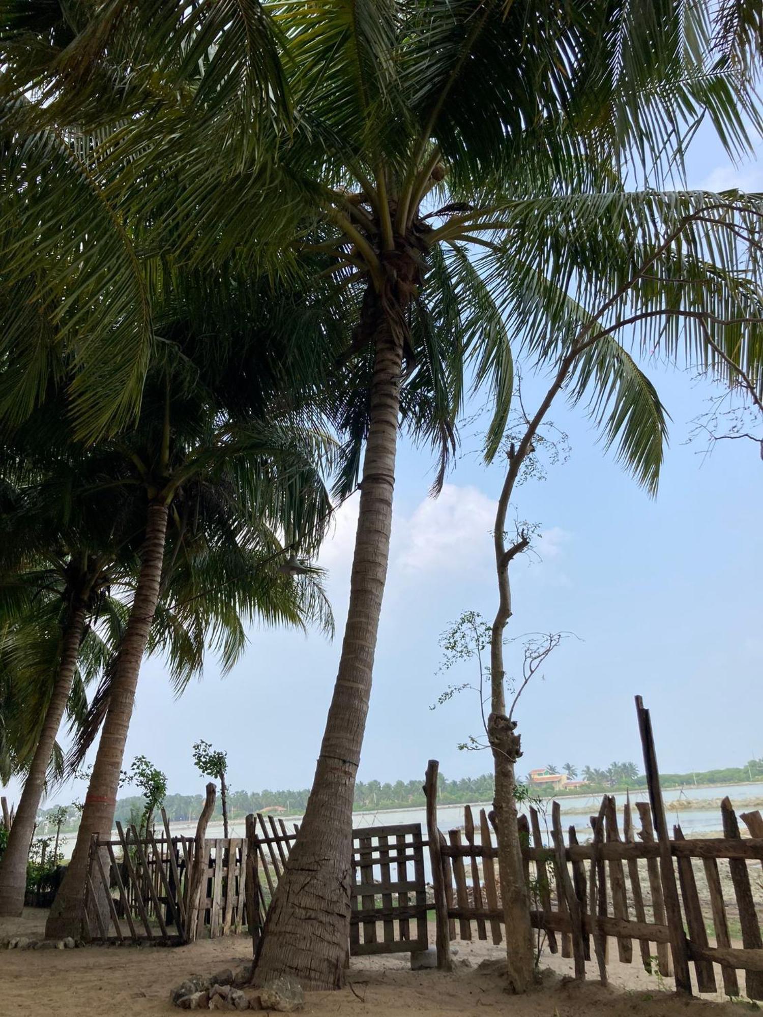 Kite Bay Villa Kalpitiya Dış mekan fotoğraf