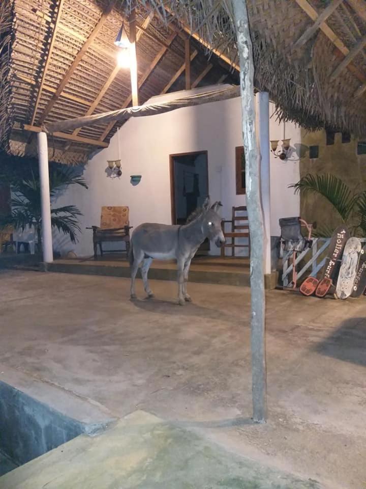 Kite Bay Villa Kalpitiya Dış mekan fotoğraf