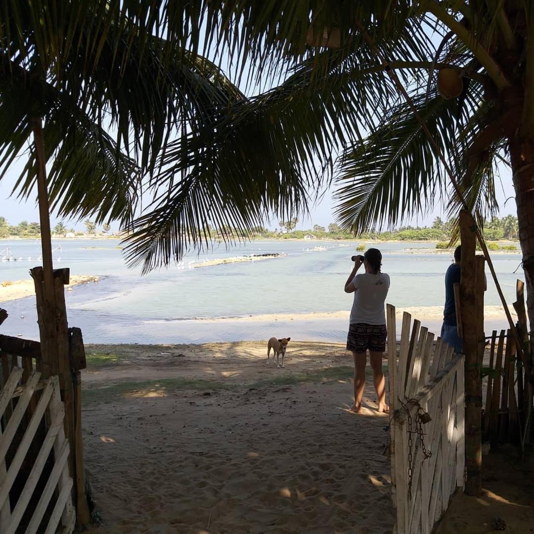 Kite Bay Villa Kalpitiya Dış mekan fotoğraf
