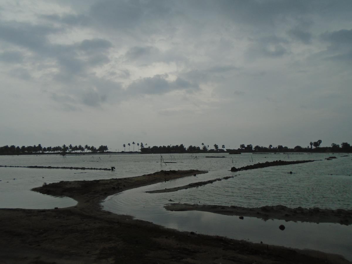 Kite Bay Villa Kalpitiya Dış mekan fotoğraf