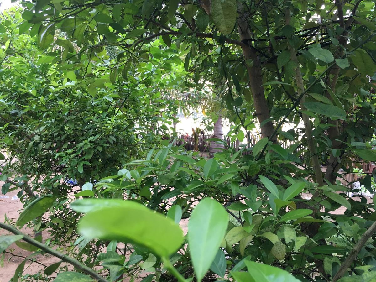 Kite Bay Villa Kalpitiya Dış mekan fotoğraf